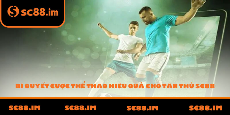 Bí quyết cược thể thao hiệu quả cho tân thủ SC88