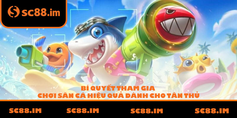 Bí quyết tham gia chơi săn cá hiệu quả dành cho tân thủ