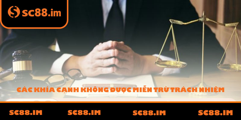 Các Khía Cạnh Không Được Miễn Trừ Trách Nhiệm