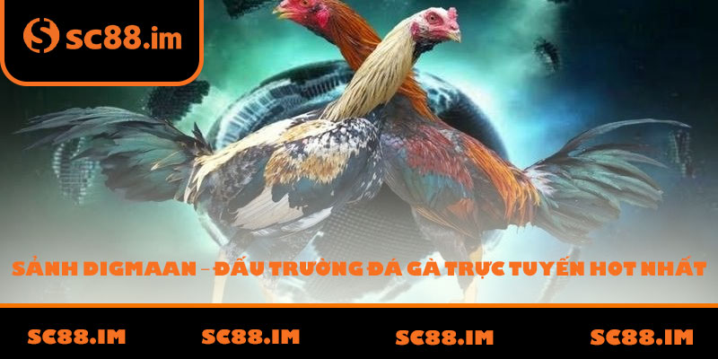 Sảnh Digmaan – Đấu Trường Đá Gà Trực Tuyến HOT Nhất