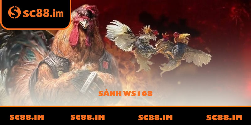 Sảnh WS168
